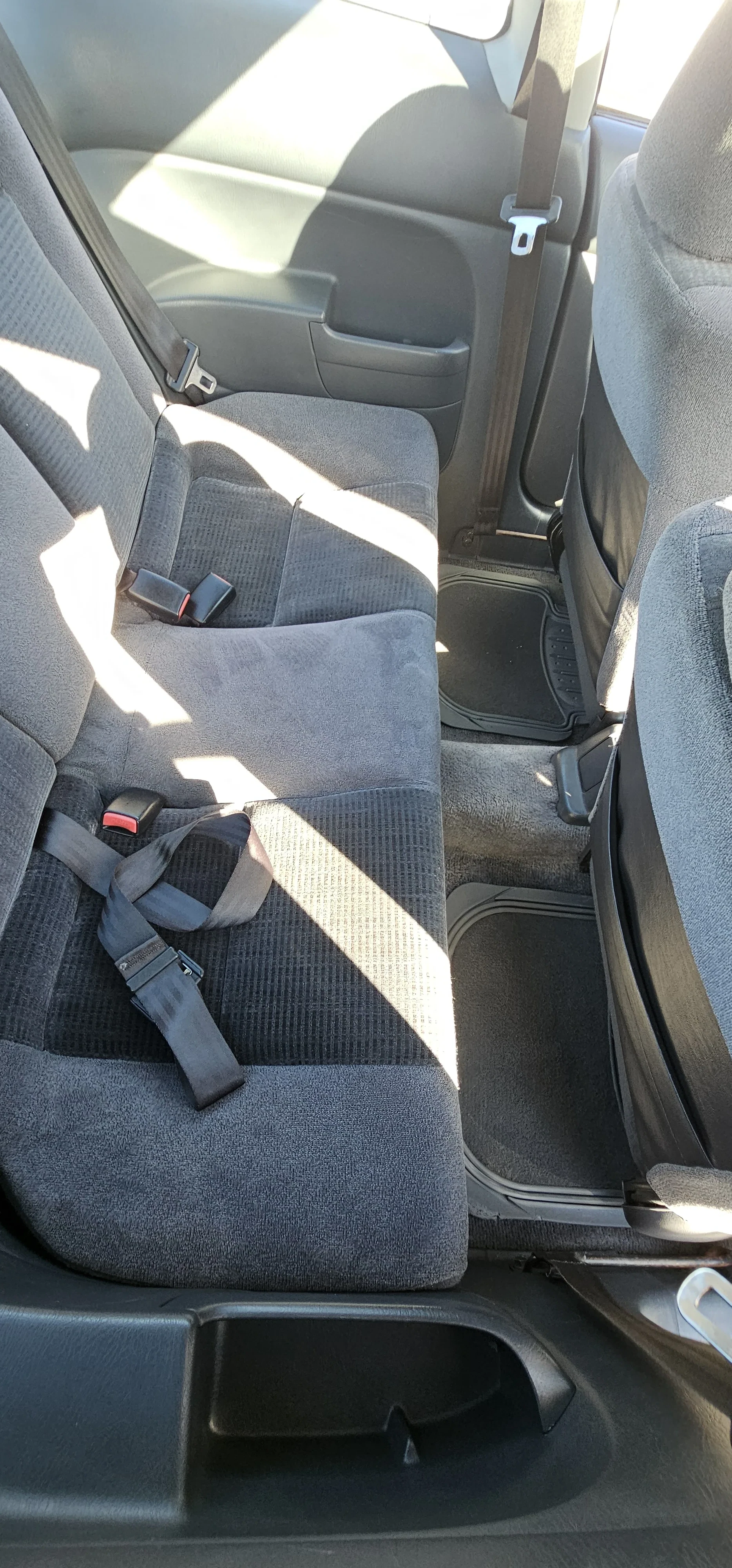 Professional mould removal completed on car in Plymouth